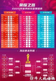 2026年世界杯D组赛程及球队名单全面解析